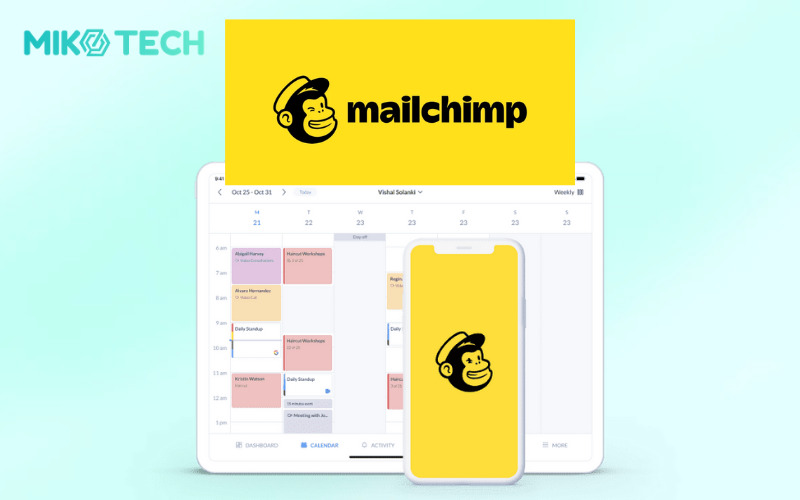 Insight là gì? Nguyên Tắc Và Các Bước Xác Định 12 mailchimp
