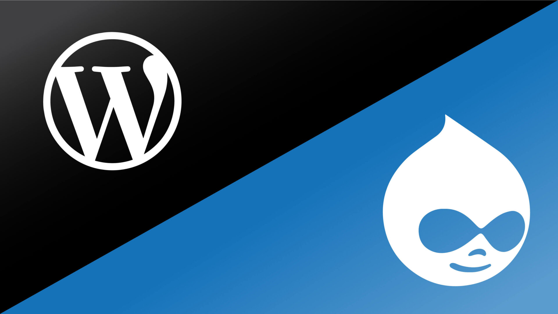 Drupal Là Gì? Hướng Dẫn Cài Đặt Và Sử Dụng Drupal 10.1.6 6 Nên chọn CMS nào?