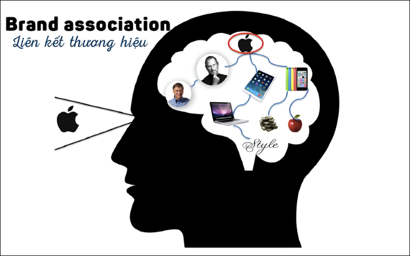 Brand Association Là Gì? Cách Xây Dựng Liên Tưởng Thương Hiệu 1 Brand Association là gì?