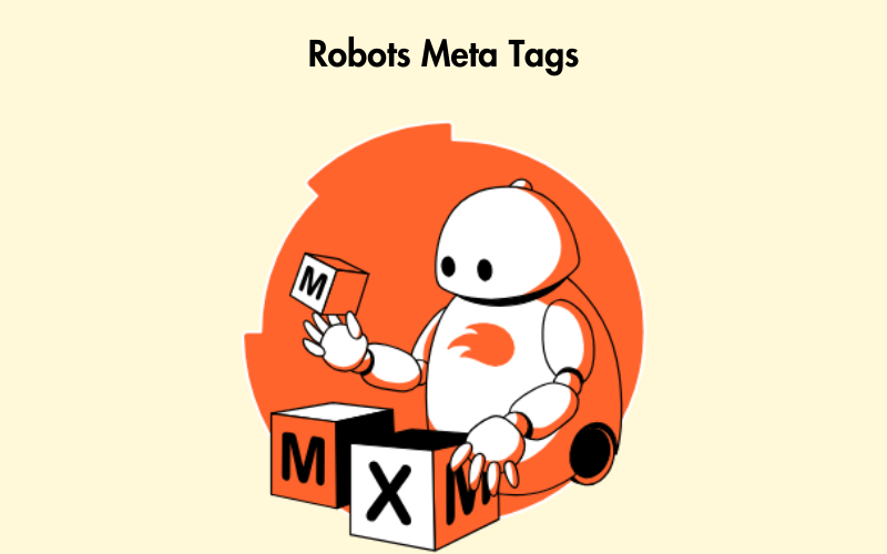 Meta Tag là gì? Những thẻ meta quan trọng và cách dùng trong SEO 4 Robots meta tags