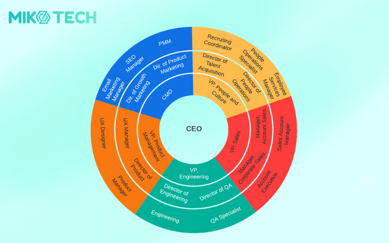 7 loại hình cơ cấu tổ chức doanh nghiệp phổ biến nhất 8 circular structure