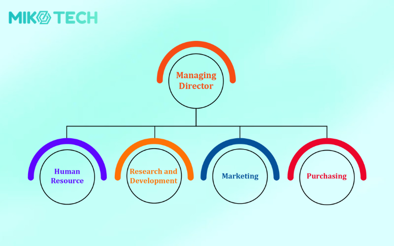 7 loại hình cơ cấu tổ chức doanh nghiệp phổ biến nhất 6 functional structure