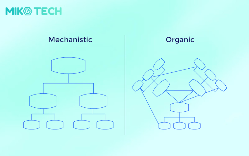 7 loại hình cơ cấu tổ chức doanh nghiệp phổ biến nhất 4 mechanistic and organic structure